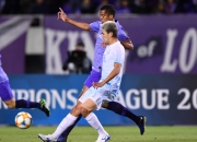 开云体育登录-广东主场大获胜利，积分榜再次登顶的简单介绍