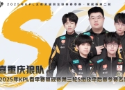 开云平台-南安普顿深陷降级区，狼队绝杀主场取胜的简单介绍