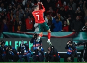 开云体育官网-足球狂欢，欧洲预赛成热点话题的简单介绍