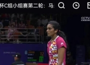 开云体育直播-印尼羽毛球队完胜中国羽毛球队，辛杜爆发神勇的简单介绍