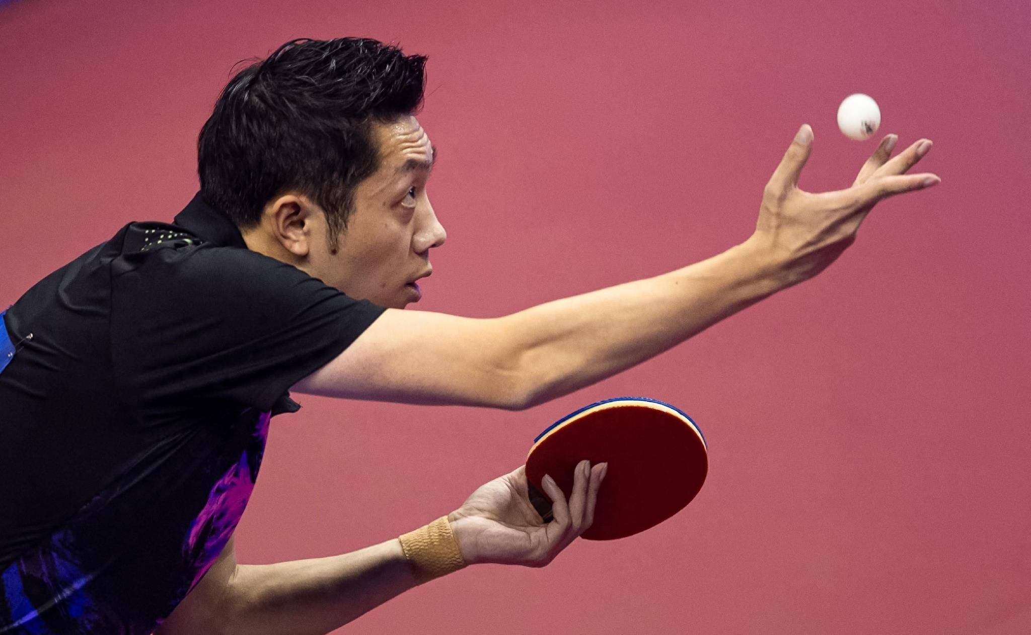 比利时乒乓球队绝杀波兰乒乓球队，许昕打破历史纪录的简单介绍