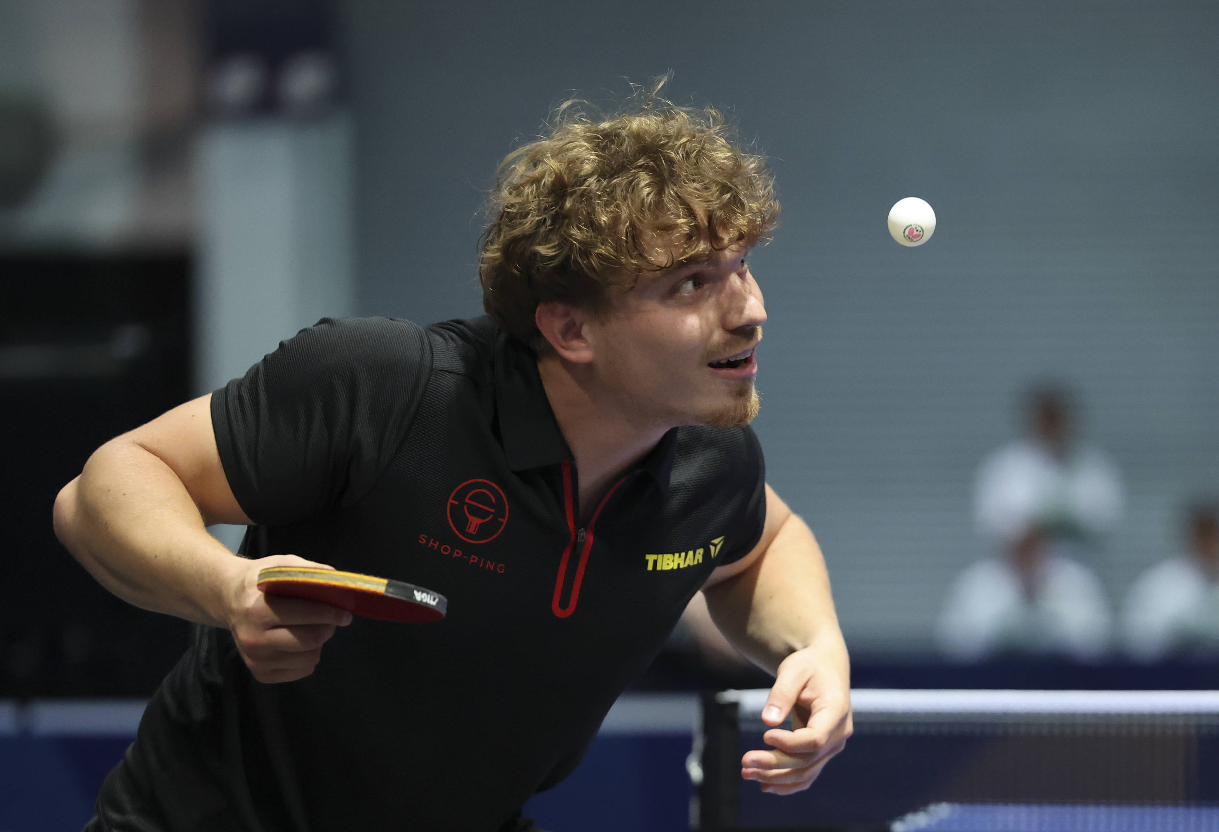 关于比利时乒乓球队轻取法国乒乓球队，马龙送出助攻的信息