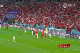 比利时主场大捷，晋级名额遥遥在望的简单介绍