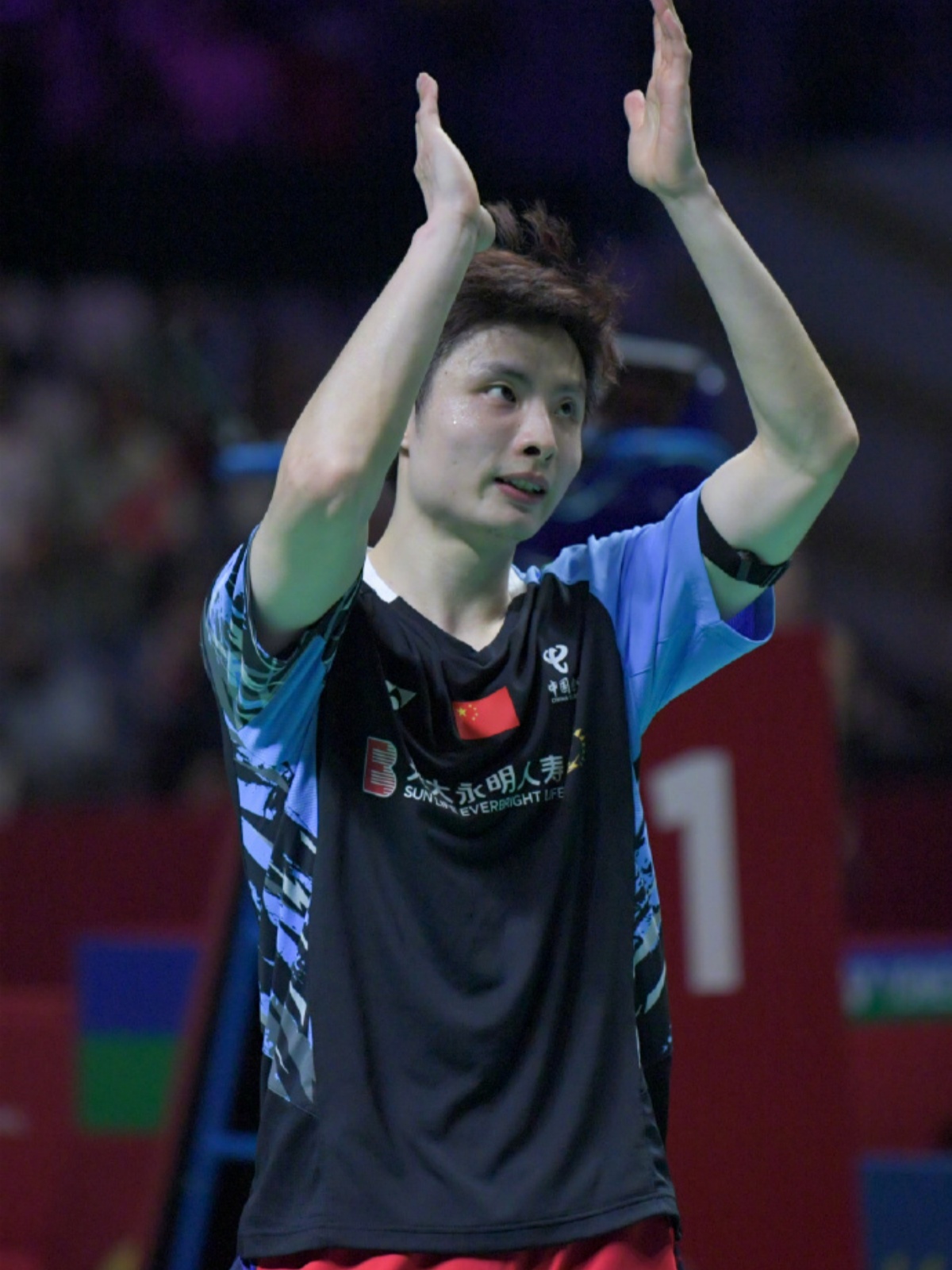 马来西亚队轻取丹麦队，石宇奇点燃赛场的简单介绍