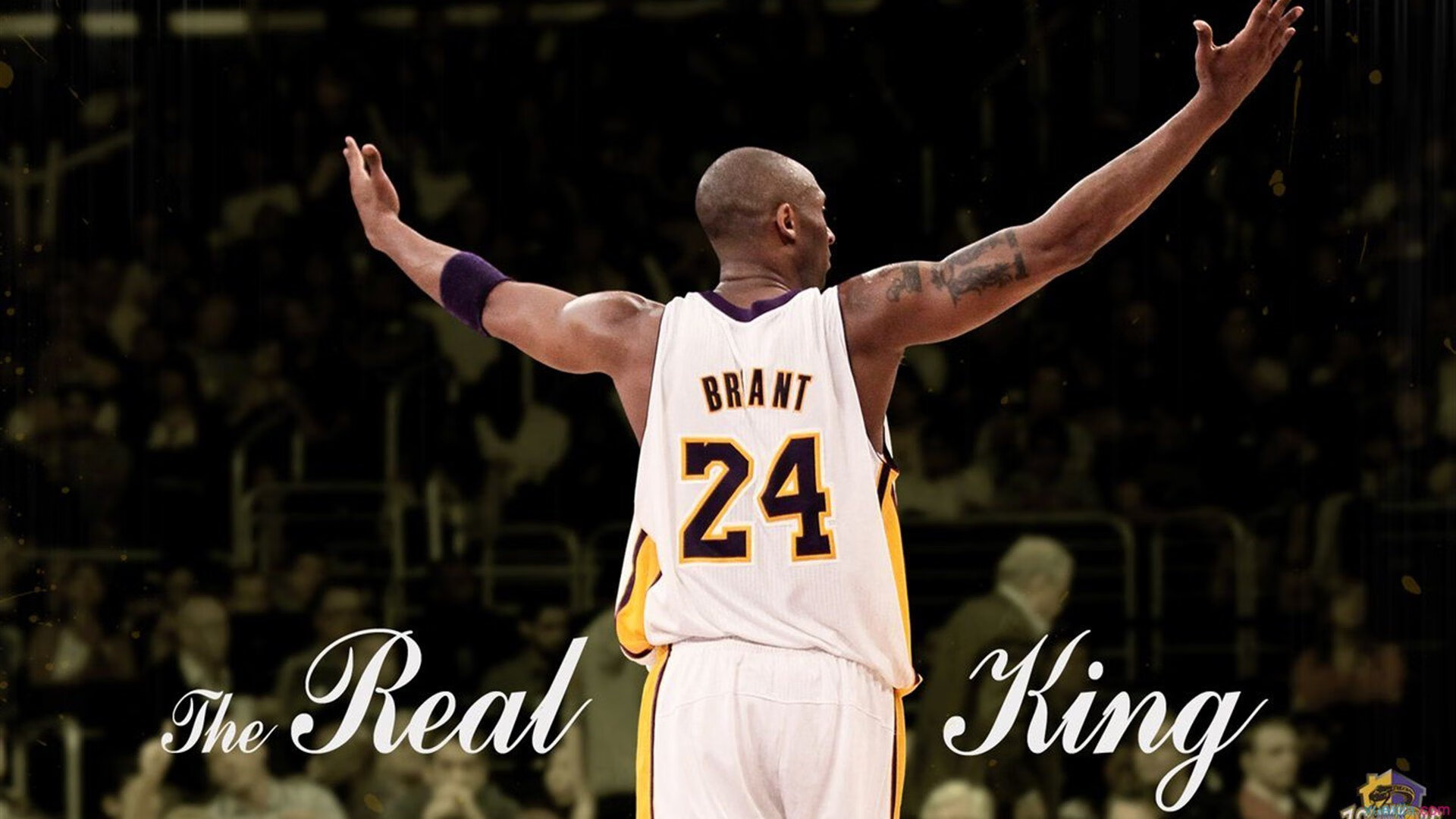 布克关键回合一锤定音,新疆队团队协作轻取公牛